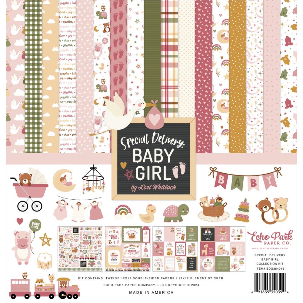 Echo Park 12x12 Double Sided Paper Pack - Special Delivery Baby Girl