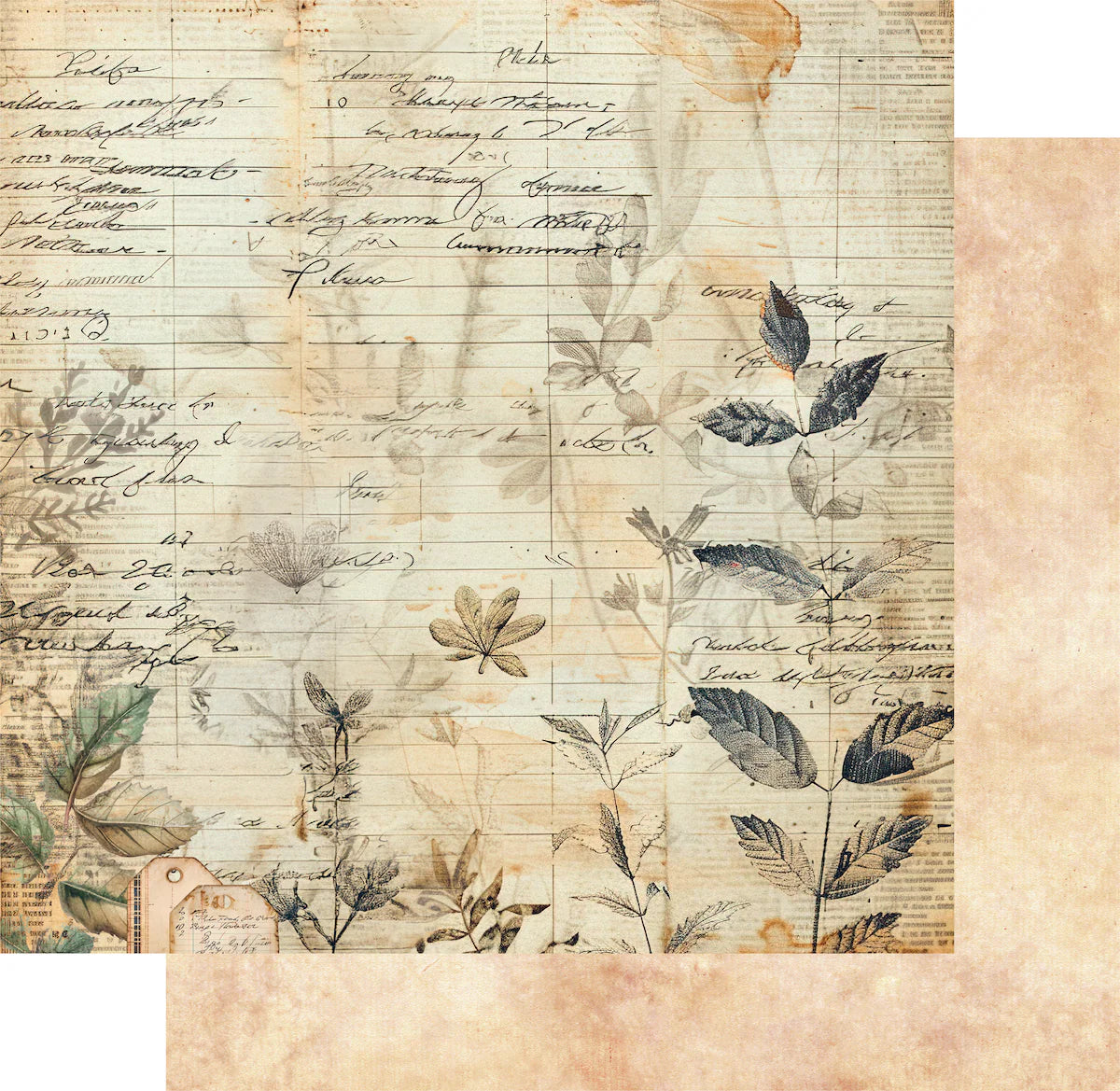 Uniquely Creative 12x12 Double Sided Paper - Botanical Chronicles- Botanical Ledger