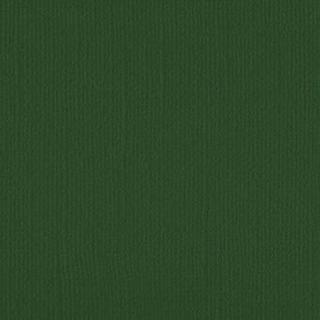 Downunder Direct 12x12 Cardstock - Emerald Isle