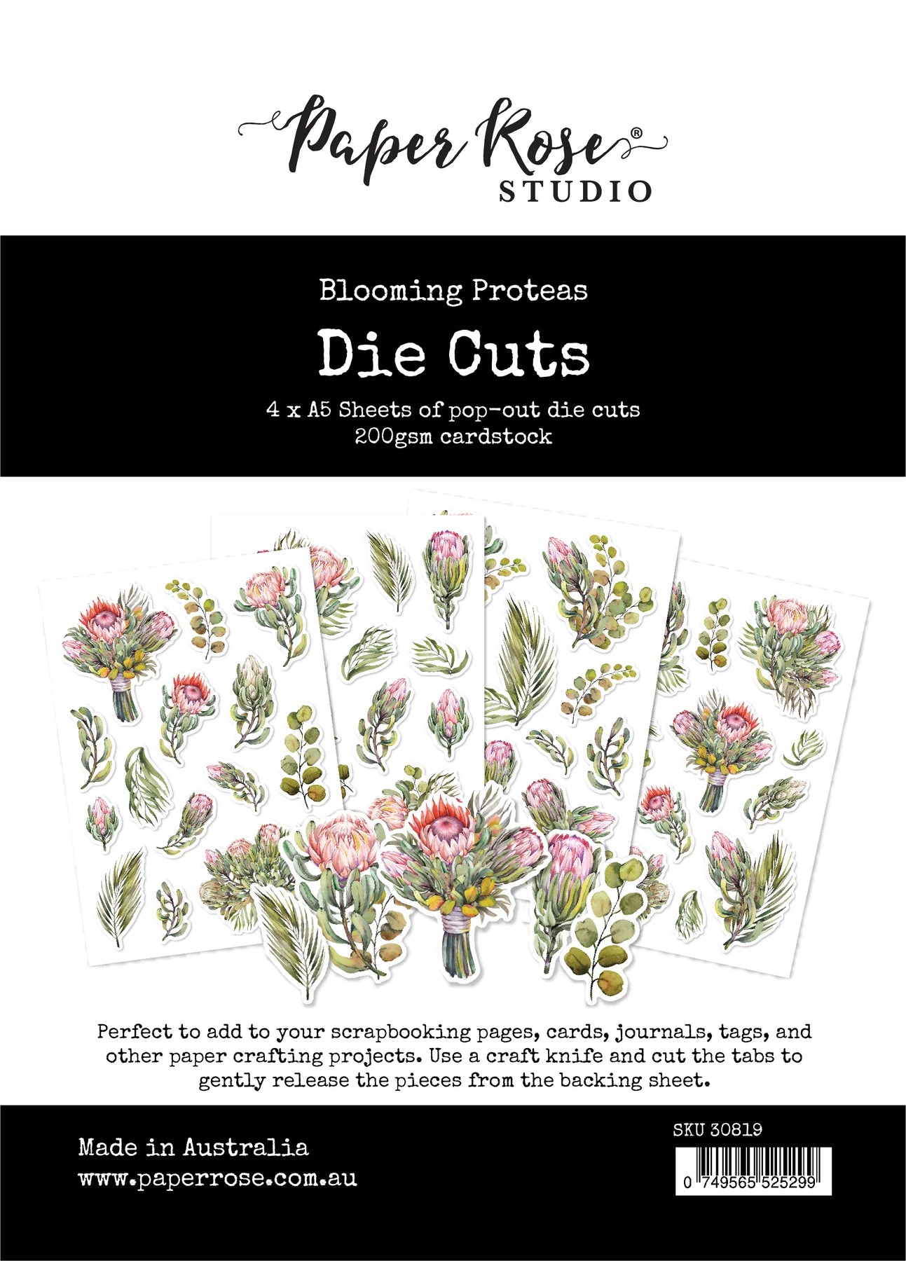Paper Rose Studio Die Cuts - Blooming Proteas