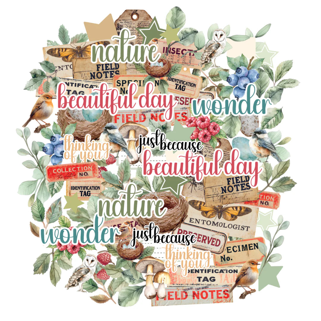Uniquely Creative Creative Cuts- Botanical Chronicles