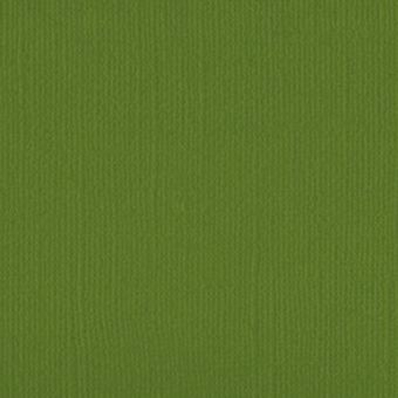 Down Under Direct 12x12 Textured Cardstock- Asparagus