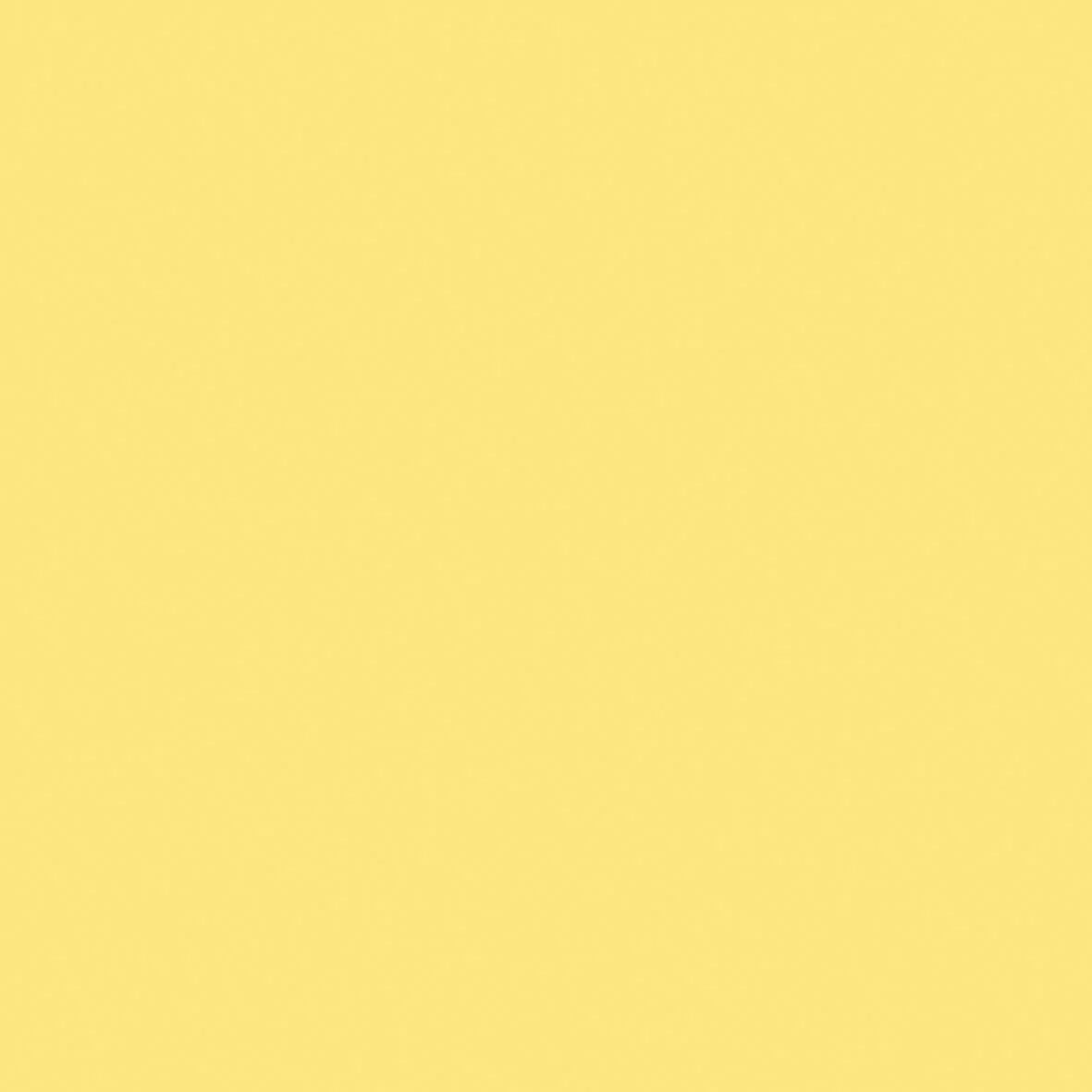 Kaisercraft 12x12 Weave Cardstock - Lemonade