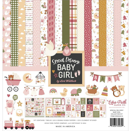 Echo Park 12x12 Double Sided Paper Pack - Special Delivery Baby Girl