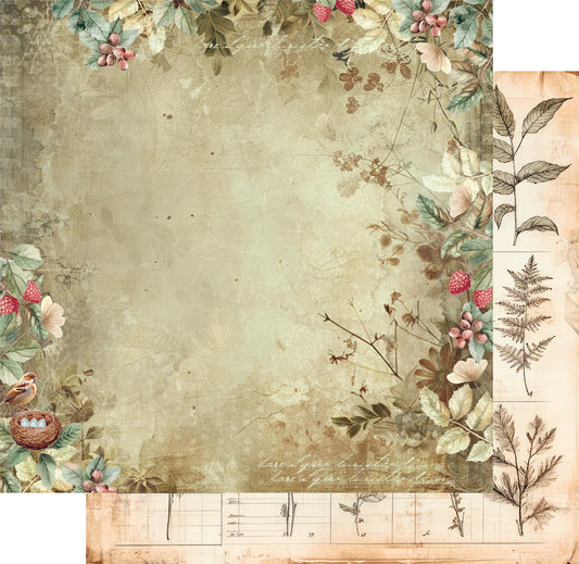 Uniquely Creative 12x12 Double Sided Paper - Botanical Chronicles- Beautiful Botany