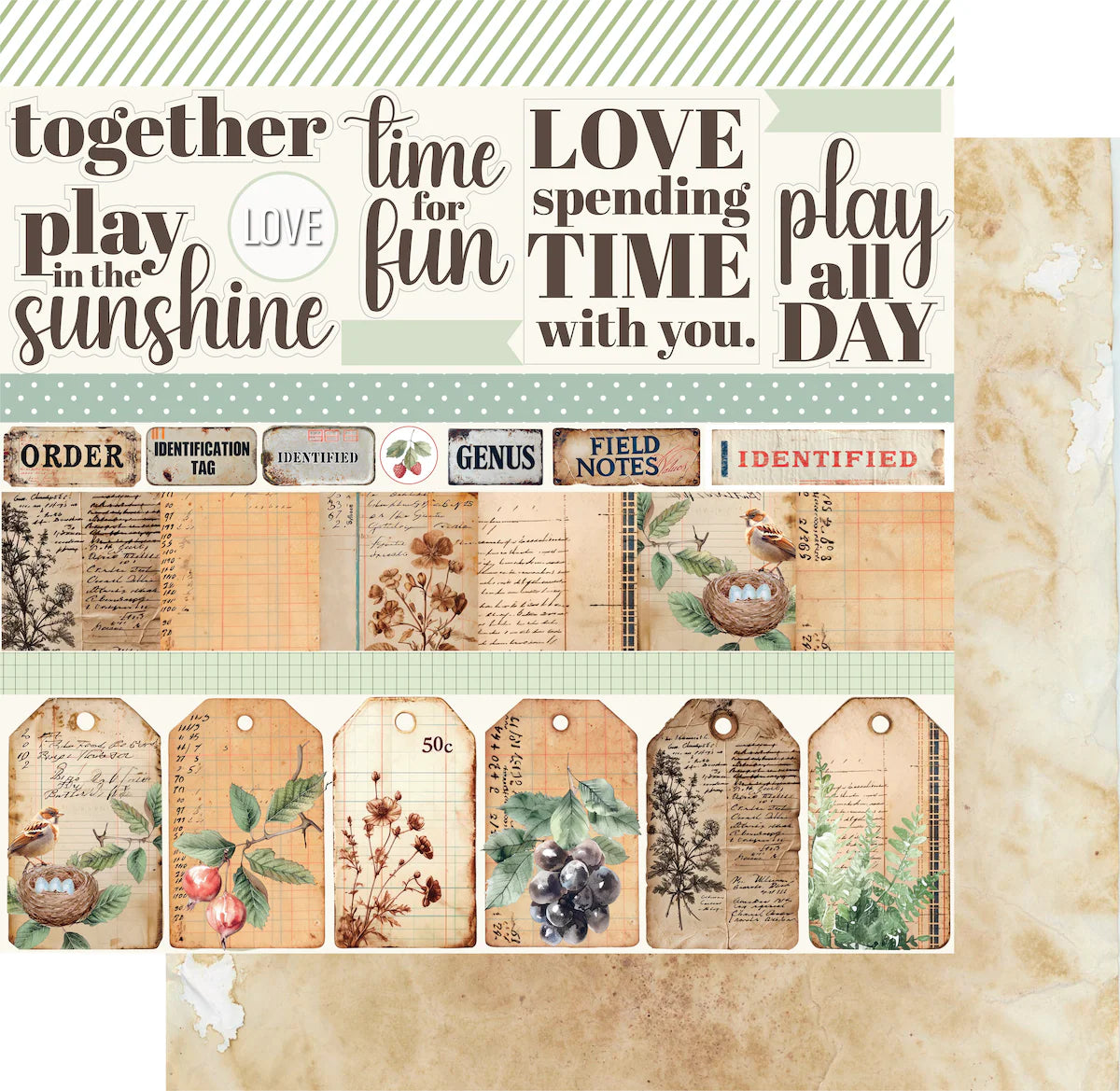 Uniquely Creative 12x12 Double Sided Paper- Botanical Chronicles- Notebook