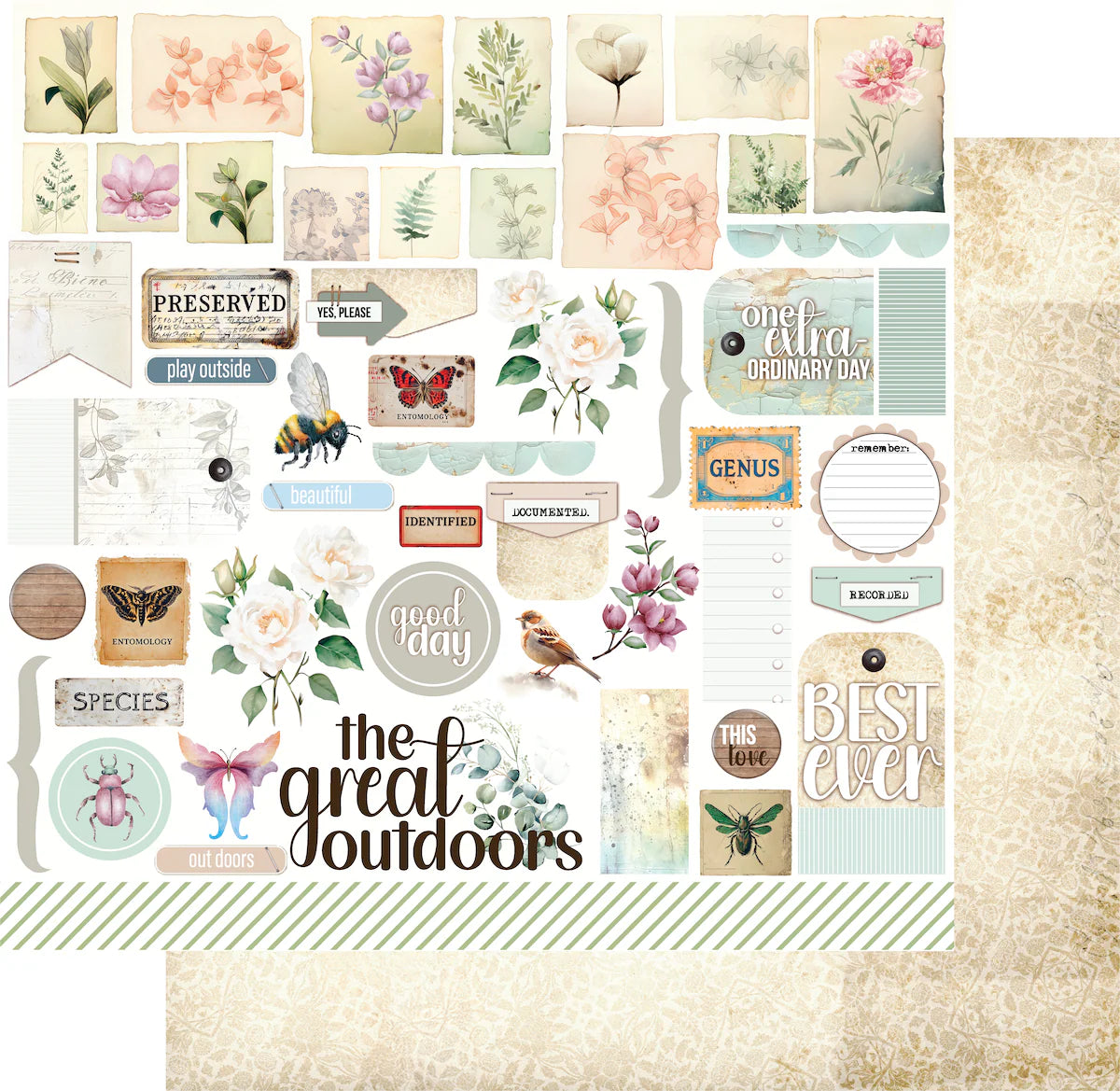 Uniquely Creative 12x12 Double Sided Paper - Floral Archives-Documented Flora