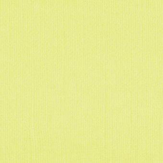 Downunder Direct 12x12 Cardstock - Creme Brulee