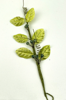 Green Tara Flowers - Christmas Vine 16cm -Olive