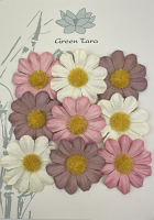 Green Tara Flowers - Summer Daisies 4cm Pink Posy