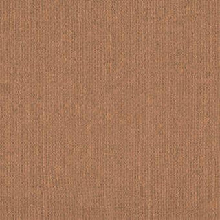 Down Under Direct Cardstock - Sepia