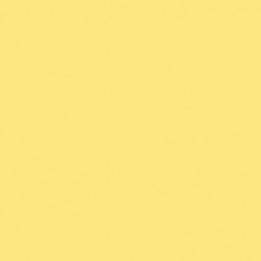 Kaisercraft 12x12 Weave Cardstock - Lemonade