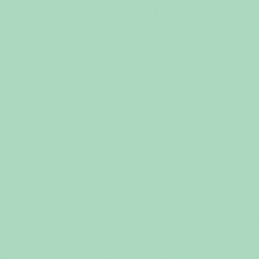 Kaisercraft Weave Cardstock- Peppermint