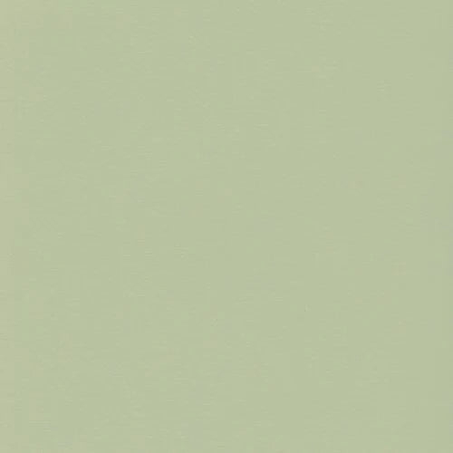Colour Mates Cardstock - Spring Green Smooth