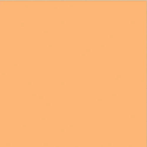 Colour Mates Cardstock - Light Orang Dream Smooth