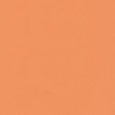 Colour Mate Cardstock - Light Peaches & Cream Smooth